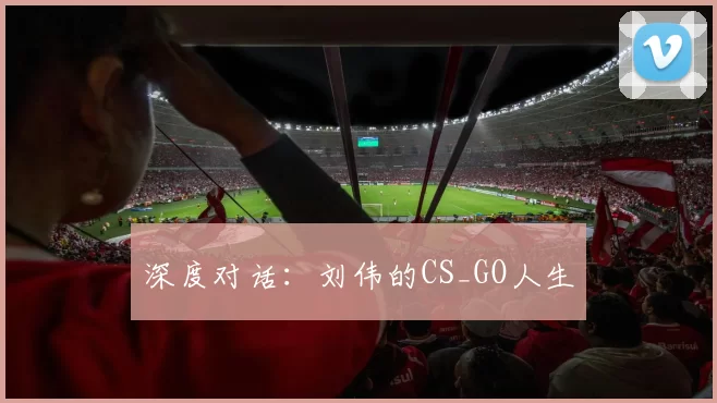 深度对话：刘伟的CS_GO人生