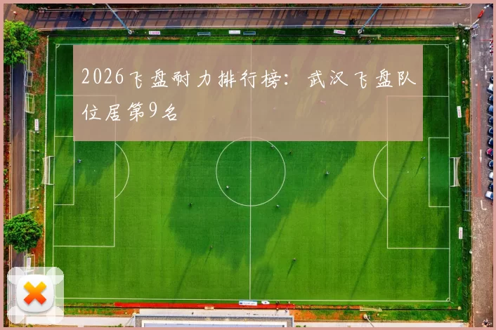 2026飞盘耐力排行榜：武汉飞盘队位居第9名