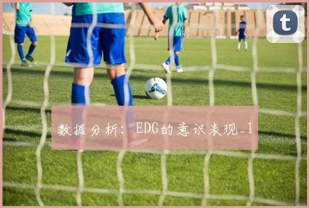 数据分析：EDG的意识表现_1