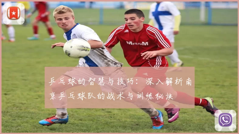 乒乓球的智慧与技巧：深入解析南京乒乓球队的战术与训练秘诀