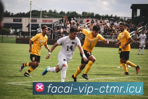 乐竞体育服务体系